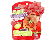 Sakuragi Capybara Strawberry Juice Gummy 32g